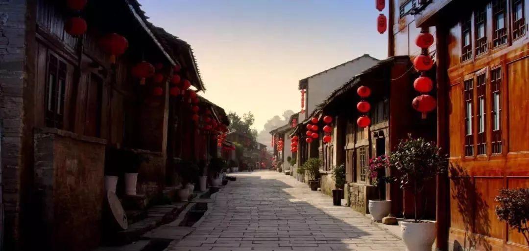 森系丛林